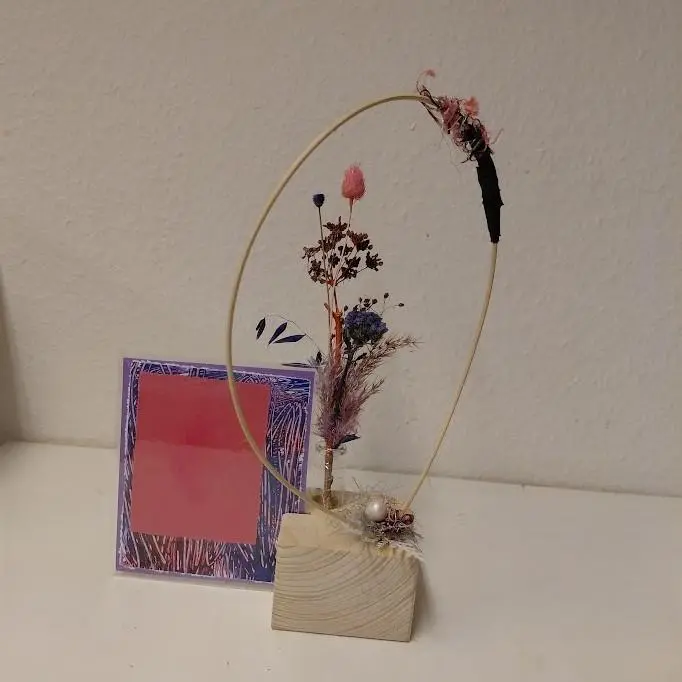 Ter Loke paarse pracht 3