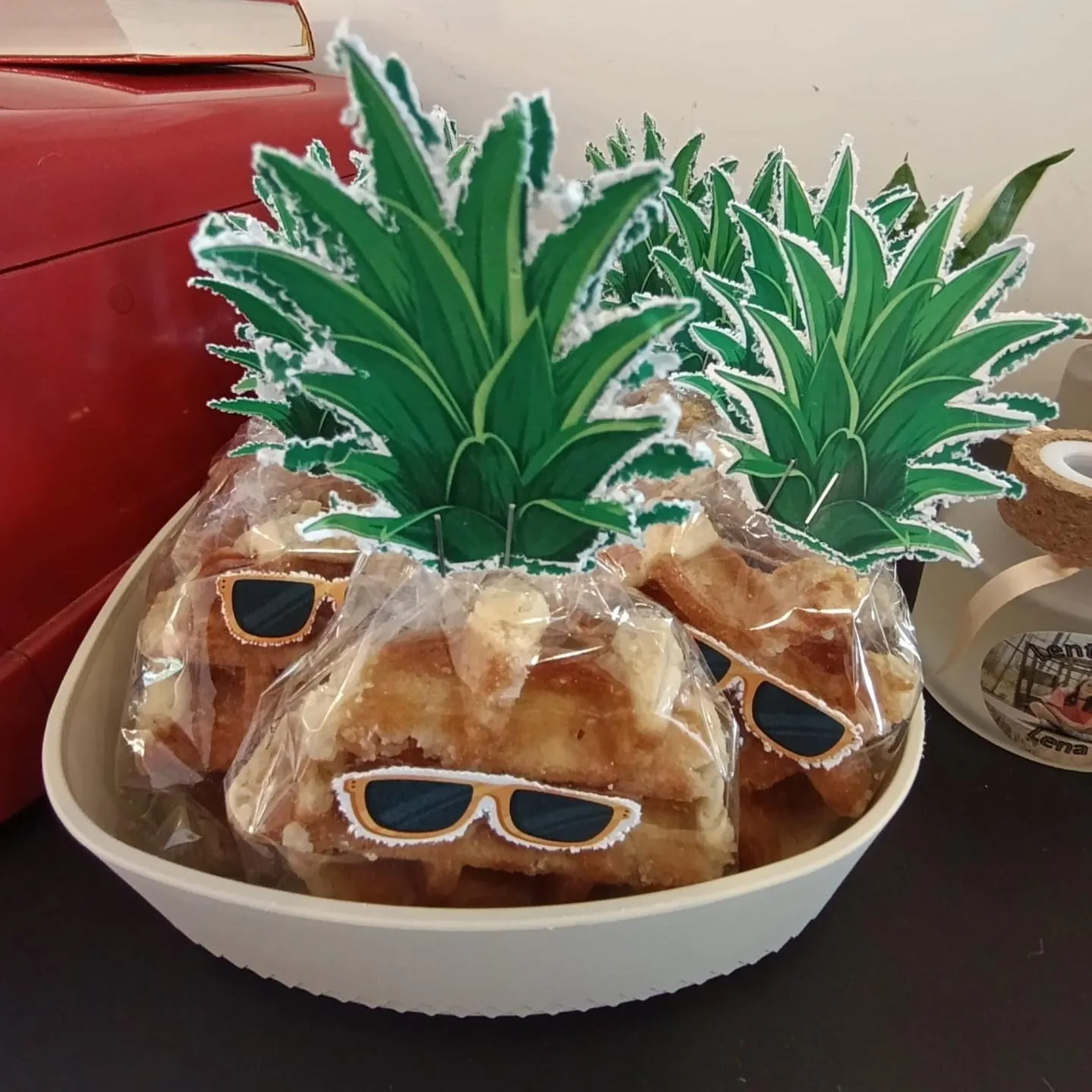 Ter Loke Tropical 1