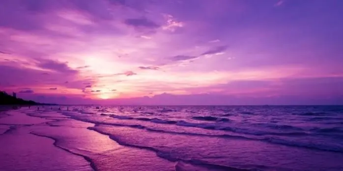 Ter Loke Decoratieboxen De Pluk 7