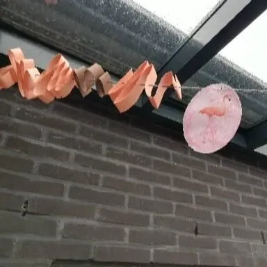 Ter Loke Tropical 2
